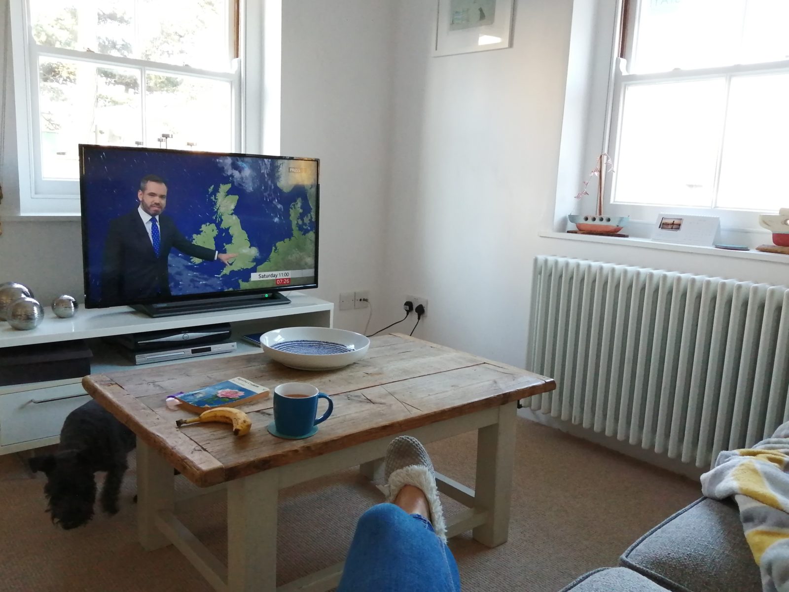 Abi 1 South Cottages Sitting Room Tea Dog