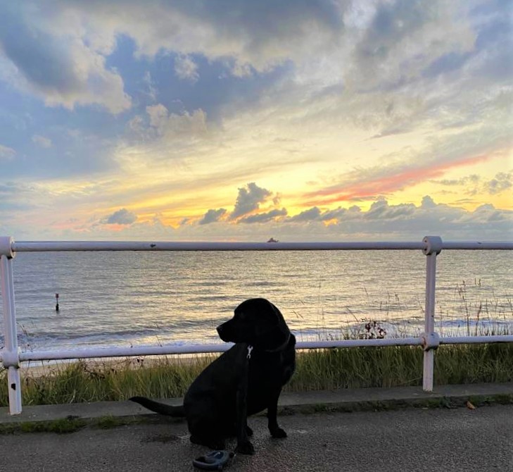 Southwold Dog Friendly Holiday Cottage