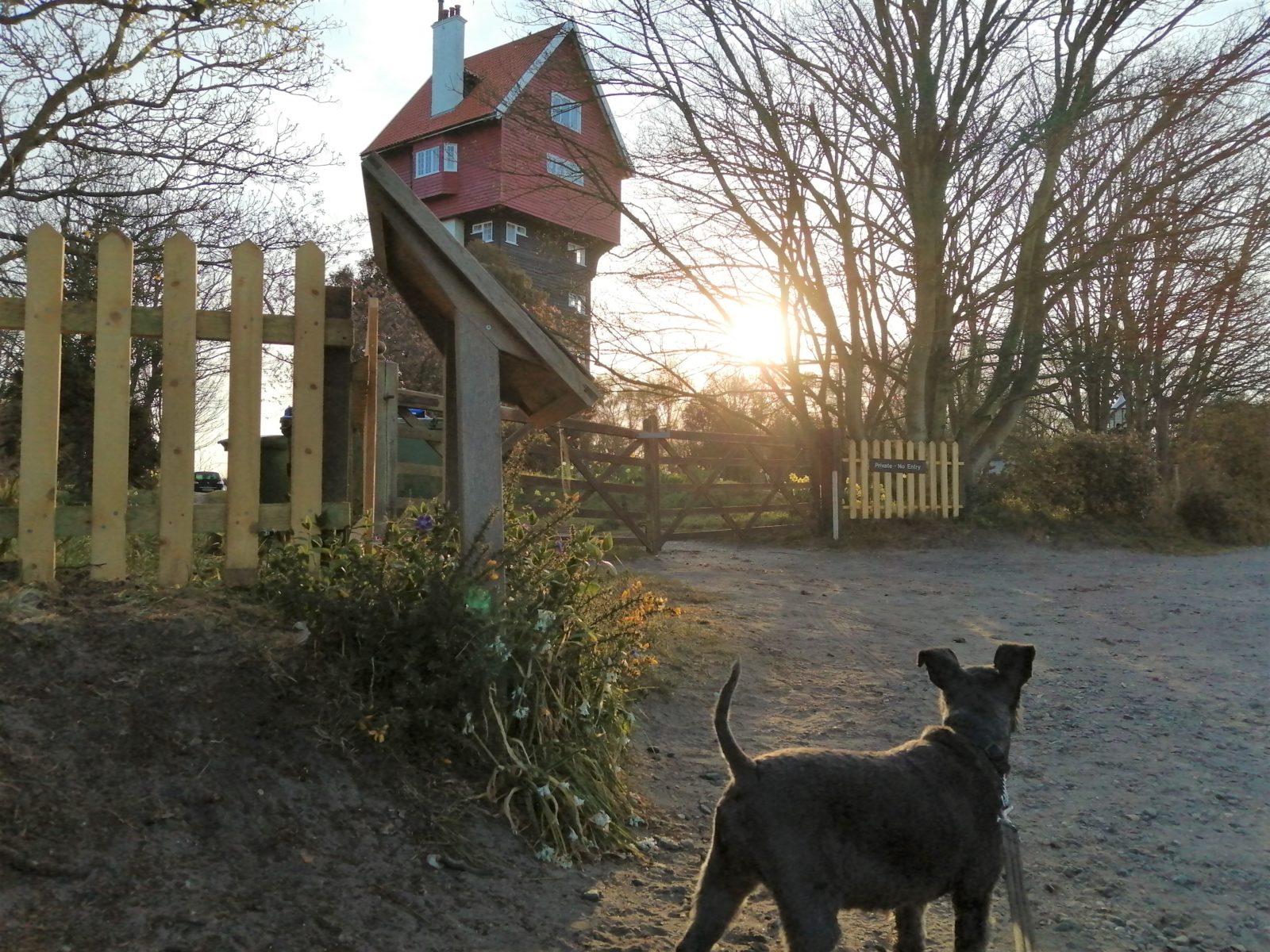 House in the Clouds Thorpeness Dog