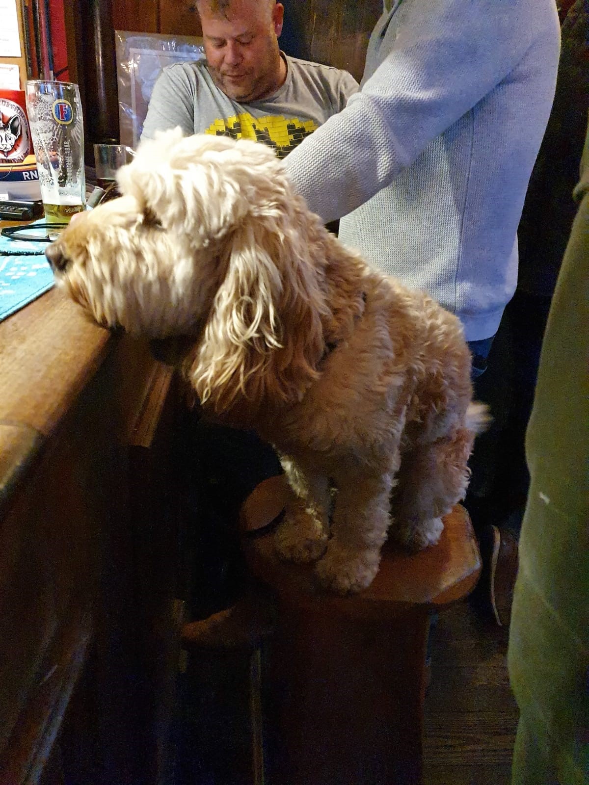 Dog in the White Hart