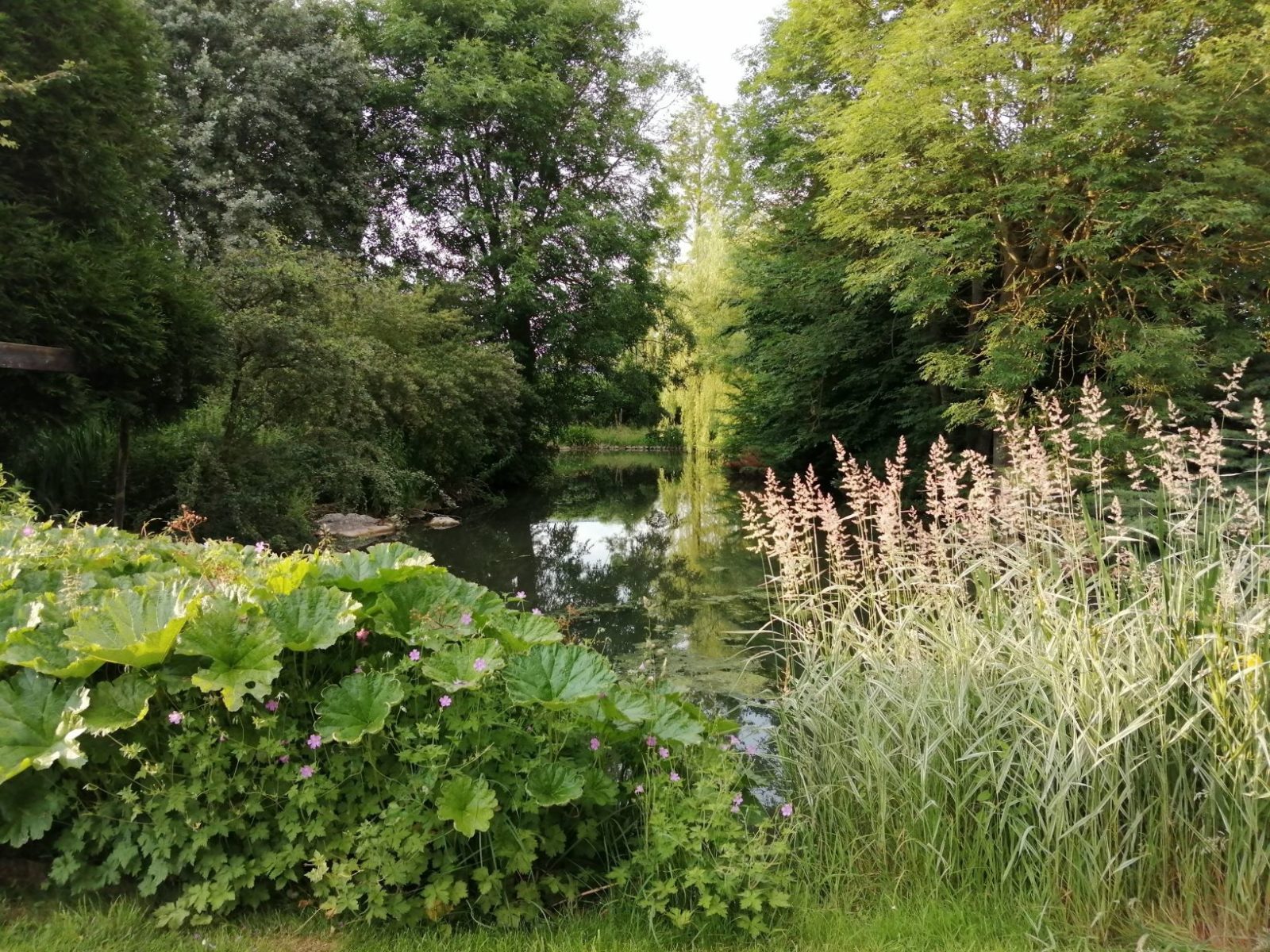 Garden at Wassicks Cottage