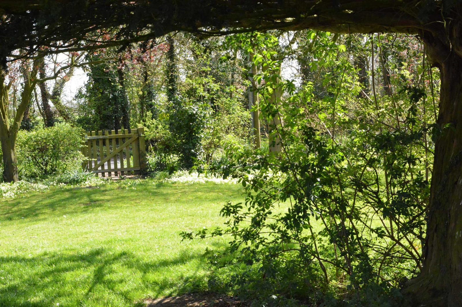 Exploring Worlingworth