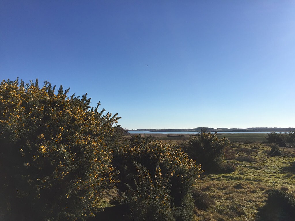 Aldeburgh to Snape: The Sailors' Path