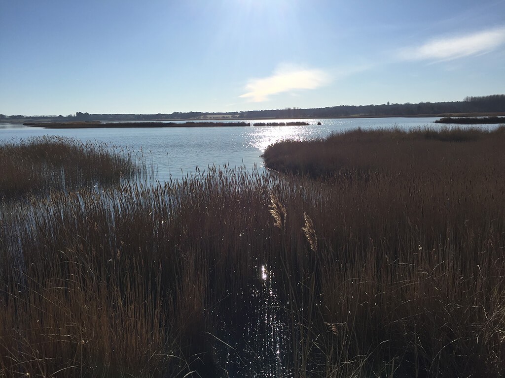 Aldeburgh to Snape: The Sailors' Path