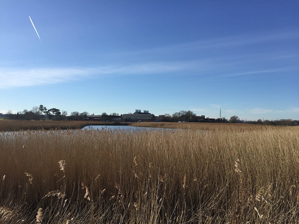 Aldeburgh to Snape: The Sailors' Path