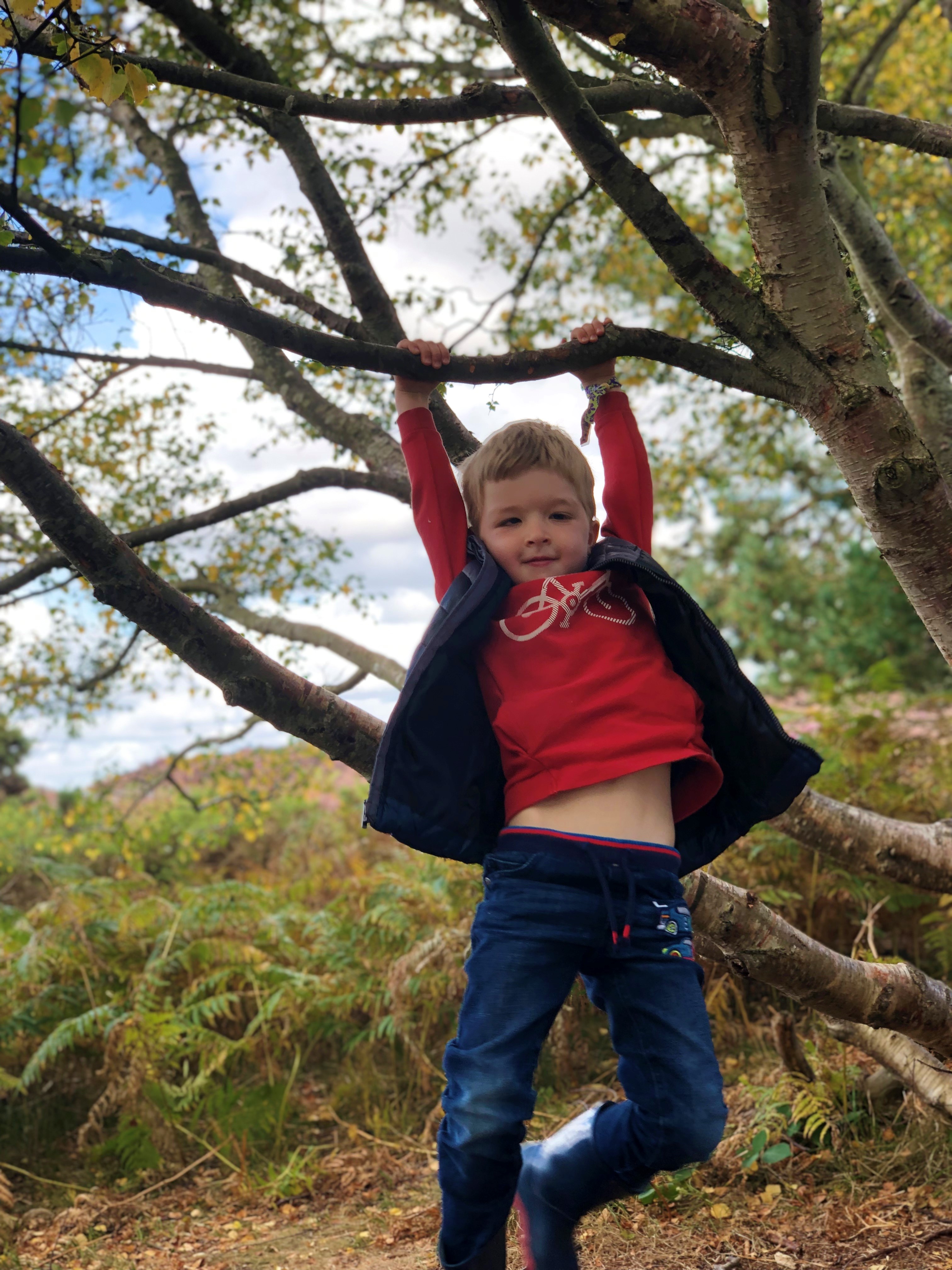 Tree Climbing at Dunwich Heath
