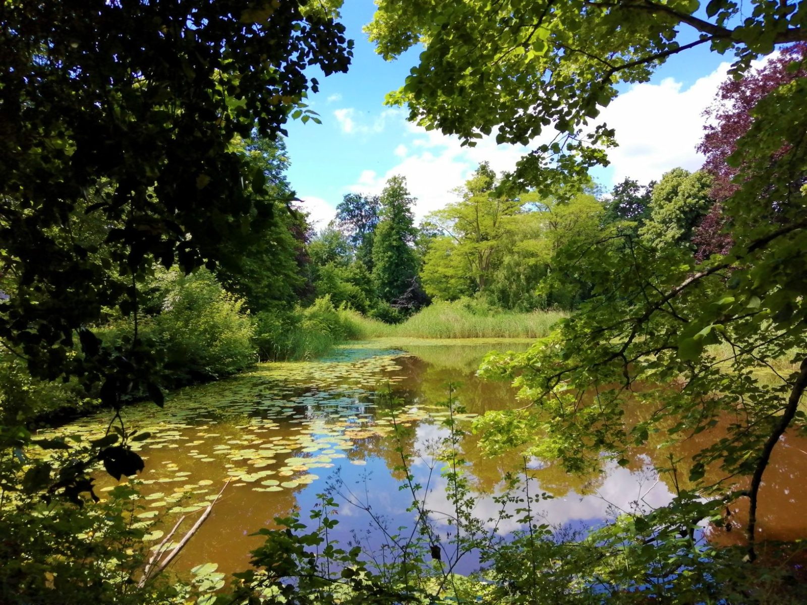 Lake, Museum of East Anglian Life