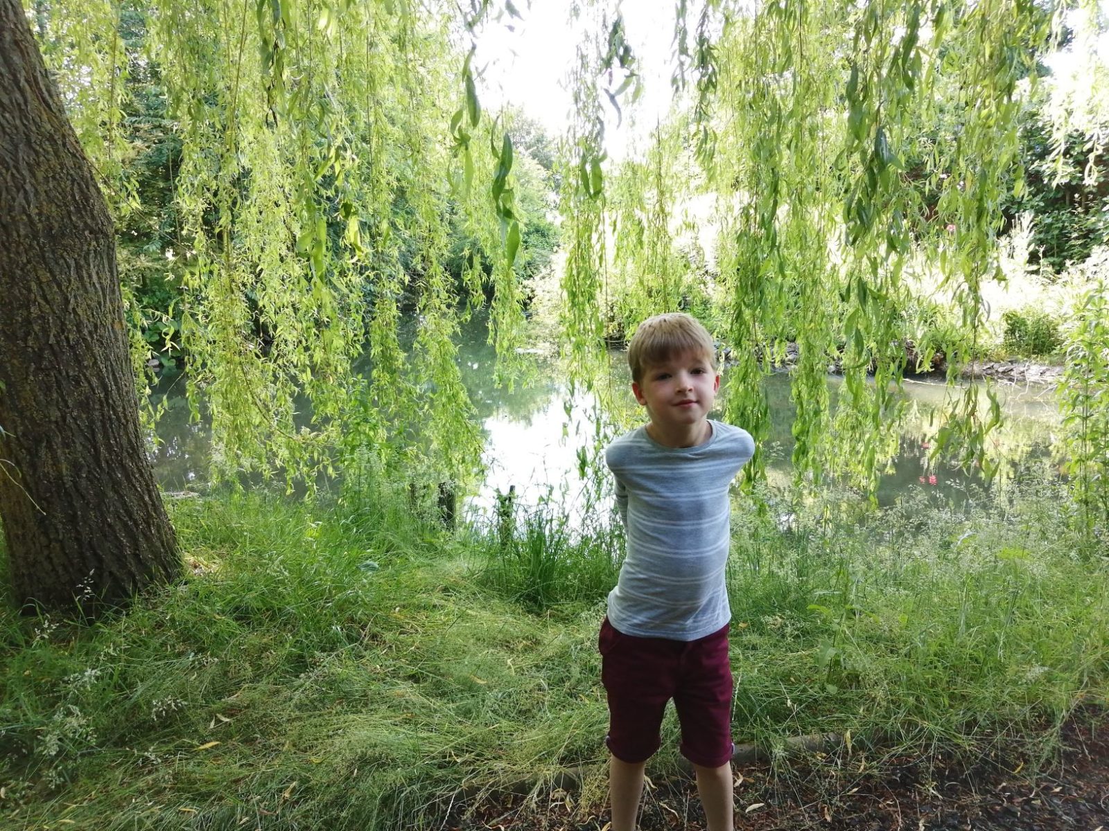 Monty Wassicks Garden