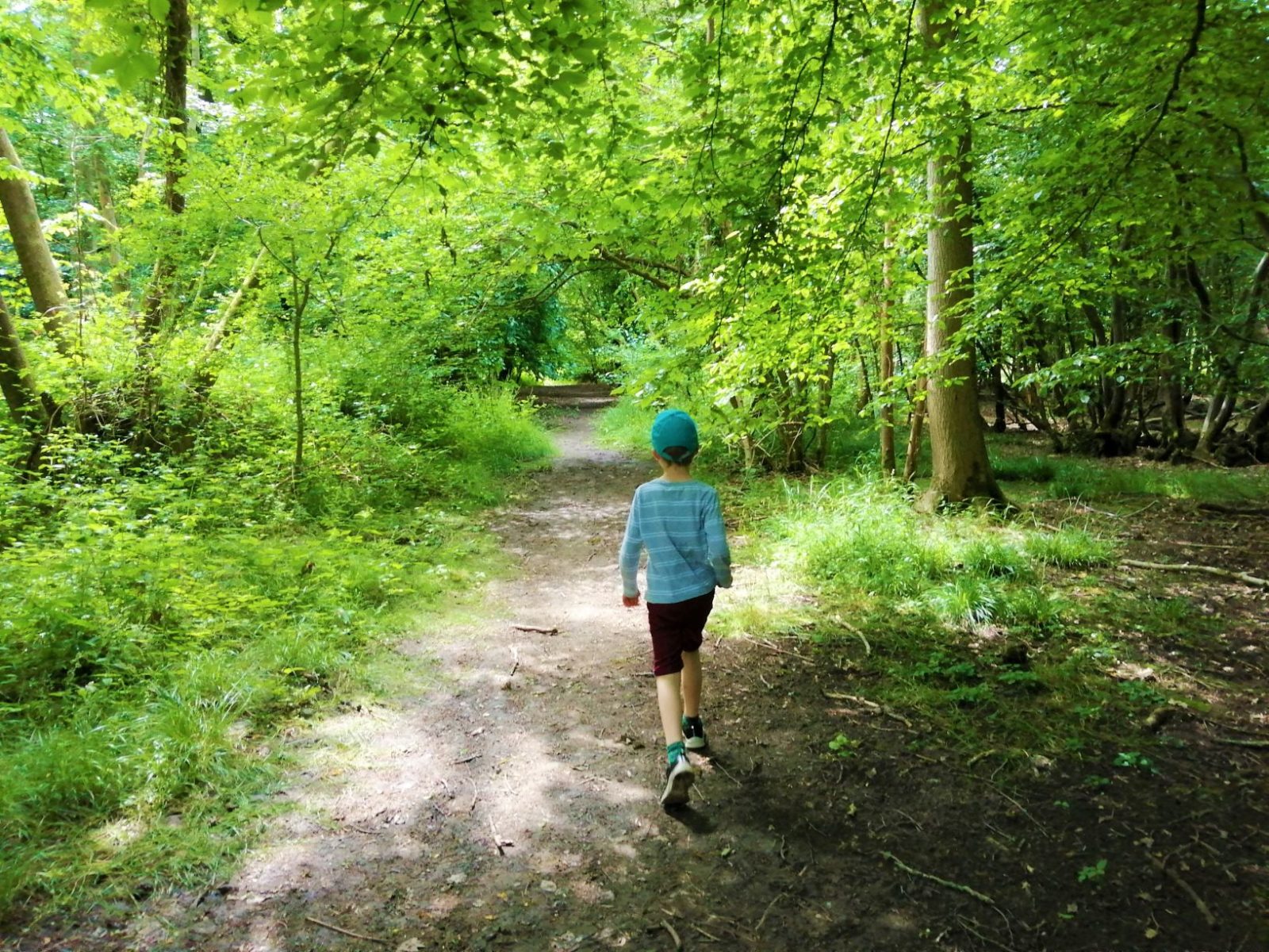 Monty Woodland Trail