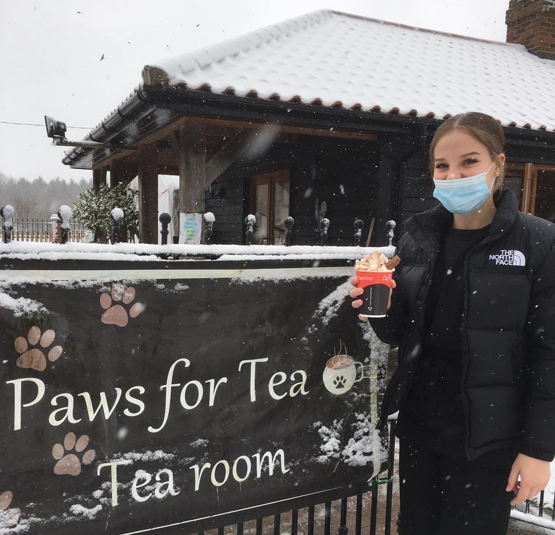 Paws for Tea