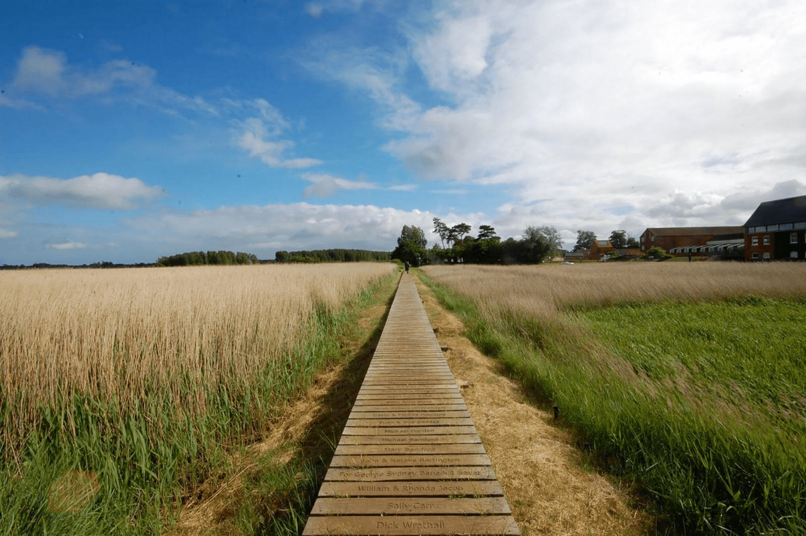 Sailors Walk through the field