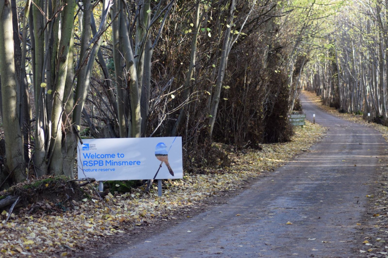 OCtober Half Term 2020 RSPB Minsmere