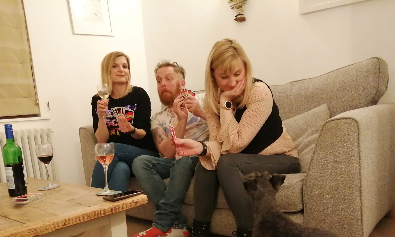 Sitting Room 1 South Cottages Games Dog