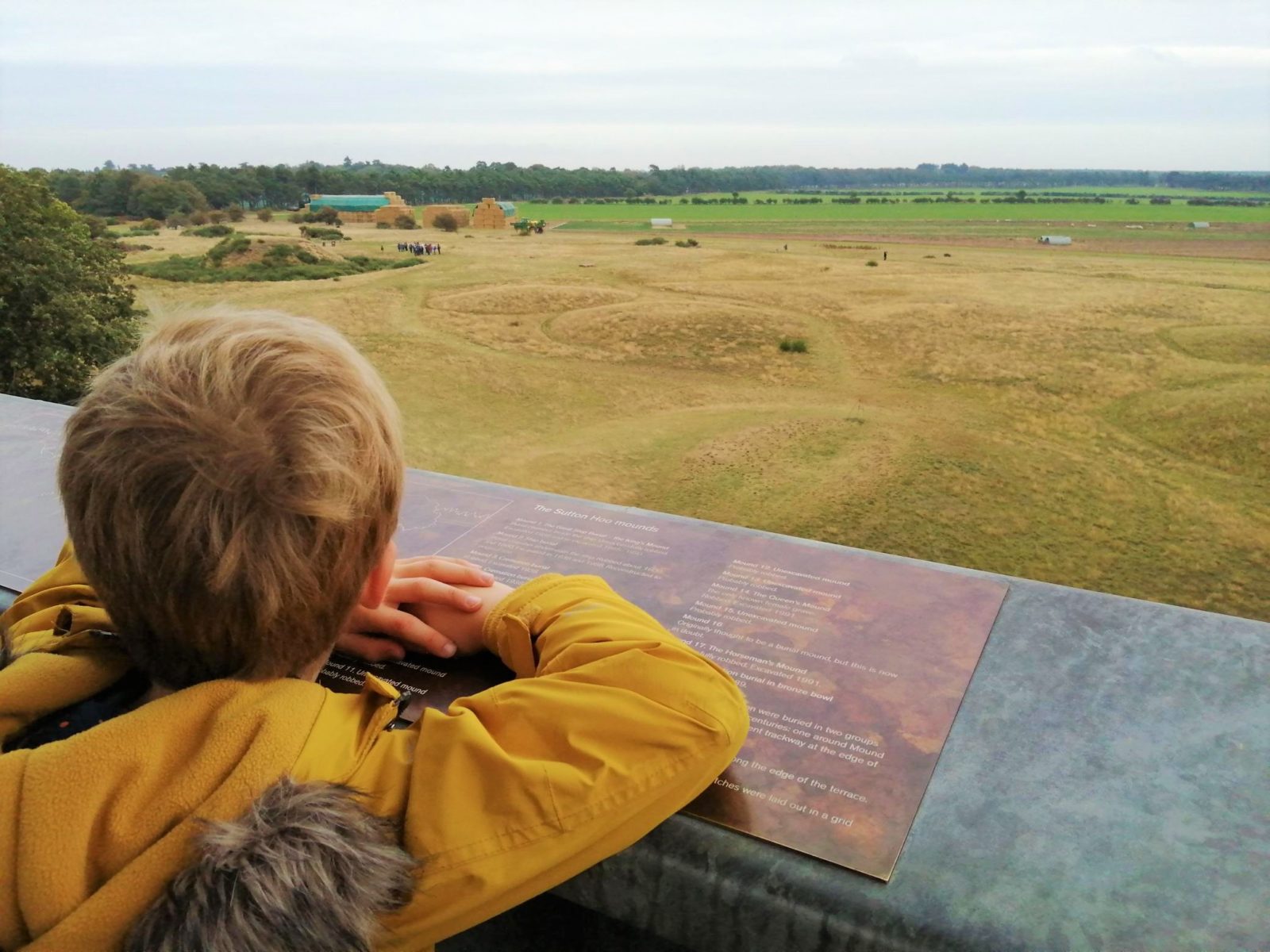 Sutton Hoo Monty Viewing Tower