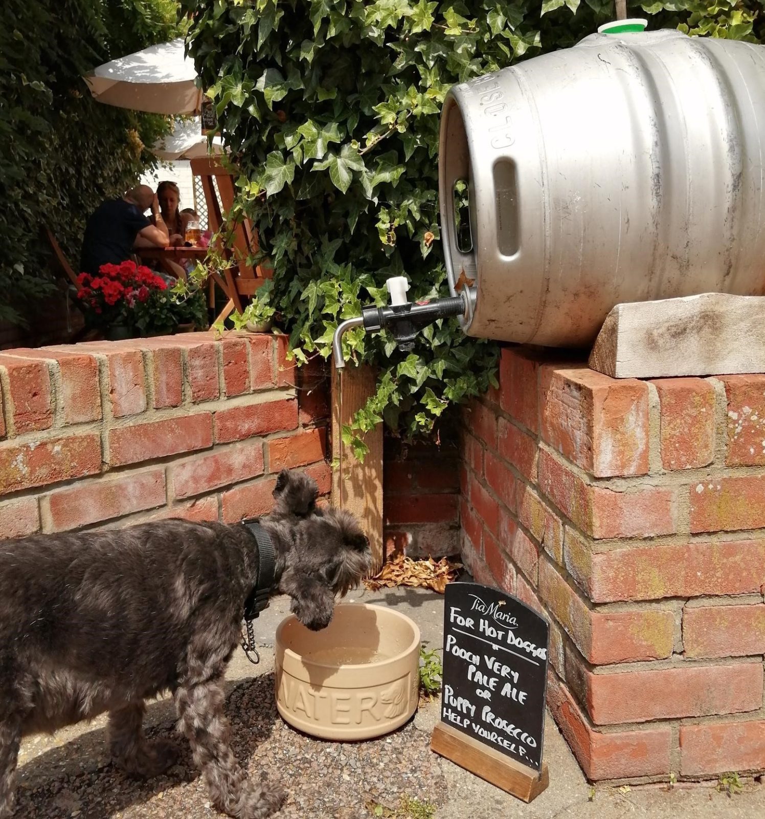 The Fleece Bungay Dog Friendly