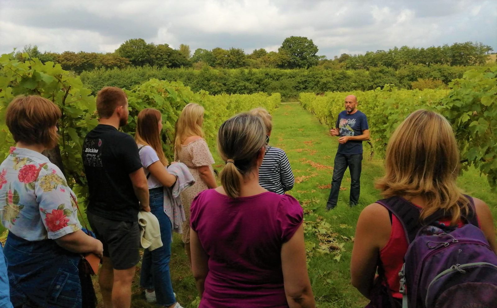 Vineyard Tour Valley Farm Vineyard