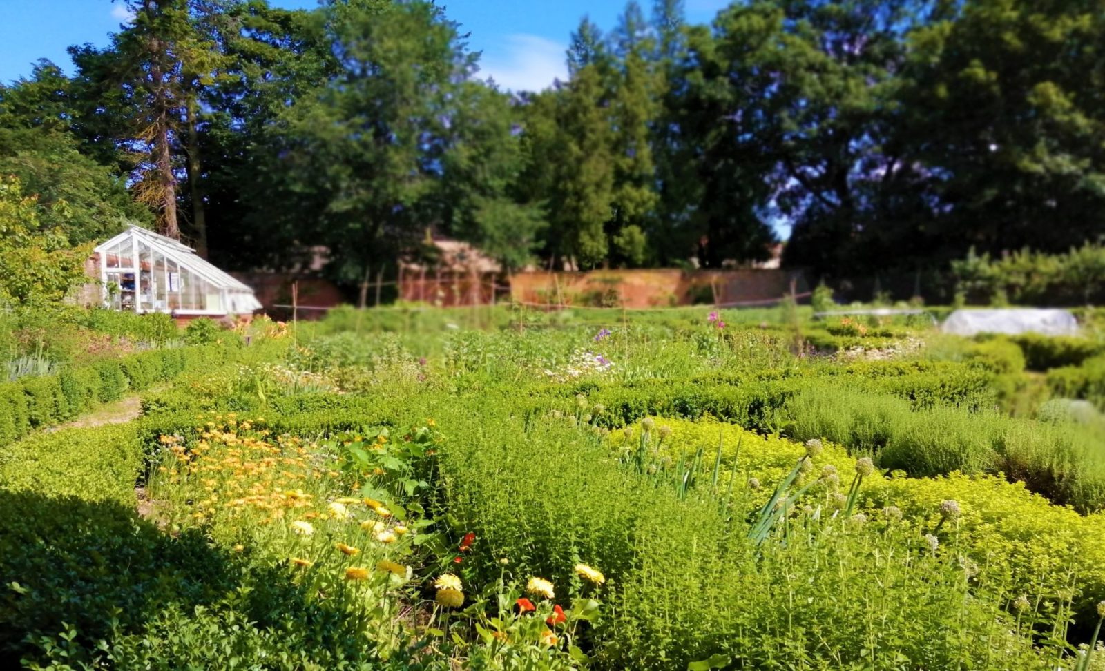 Walled Garden