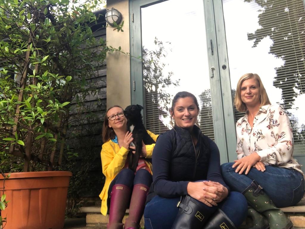 Dog friendly holiday cottages Suffolk