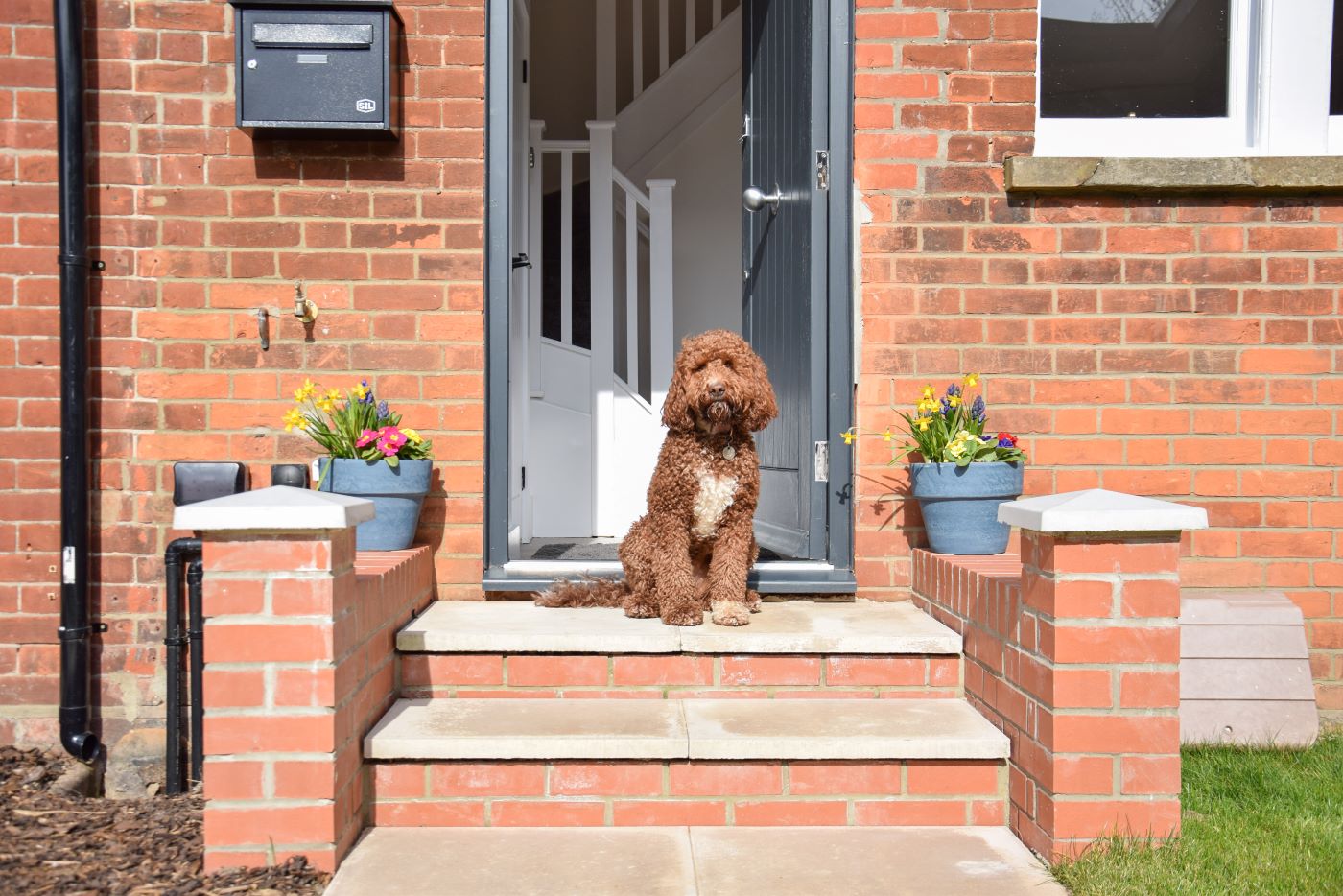 How to get more dog friendly bookings for your holiday cottage
