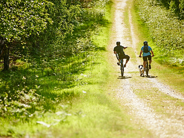 Cycling in Suffolk