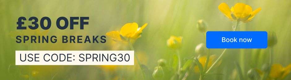 Spring30 spring break banner.