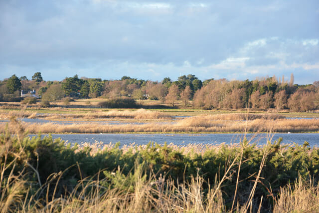aldeburgh-marshes