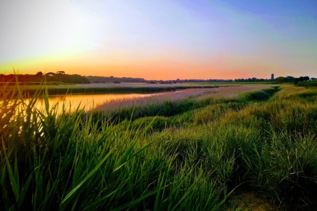 covehithe